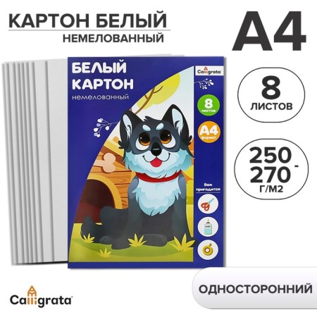 White cardboard A4, 8 sheets, calligrata, non-220-260 g/m2, in the folder