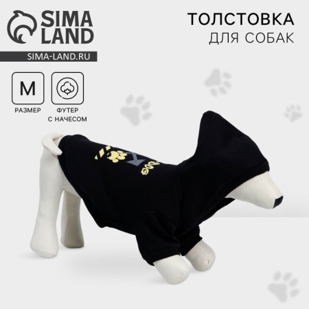 Folder Off-Dog for dogs (foot with a hose), size M (DS 29, Osh 38-42, OG 50-54), Black-1