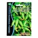 Cucumber seeds "Envy", F1, 5 pcs.