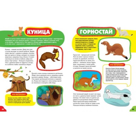 Animals for kids-5