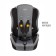 Car Carec resilient Zlatek ZL513 BASIC, group 1/2/3 (9-36 kg), color gray color