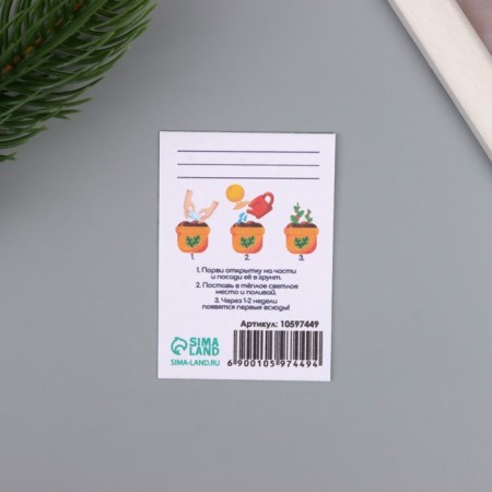 Postcard with seeds "grow itself" "letter" 5*7cm-2