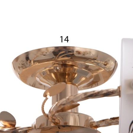 Darsy chandelier 5x40W E27 Gold Model: 2829735-5