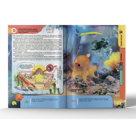 4D encyclopedia in augmented reality "Underwater residents"-1
