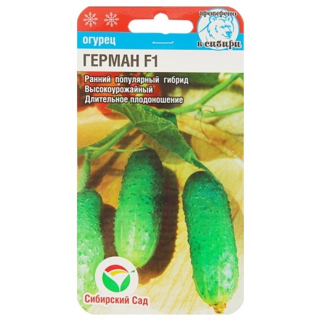 Seeds of cucumber German f1, parthenocarpic, 5 pcs-3