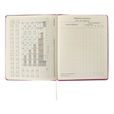 Universal diary for grade 1-11 Smart Thoughts, hard cover, artificial leather, foam rubber, silkography, lies, 80 g/m2-10