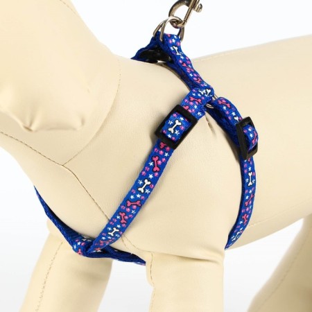 Set "Star Bones", leash 120 x 1 cm, og 23-35 cm, blue-1