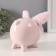 Piggy bank Ceramics "Pig with fluffy ears" 14.5x11.3x11.5 cm