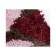 Bathroom rug Rossel BM-5705
