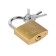 The castle of a hinged type 14, 50 mm, 3 keys