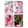 Notepad A6, 40 sheets in a cage on the crest "Flowers", cover Cover Cardboard, Mix