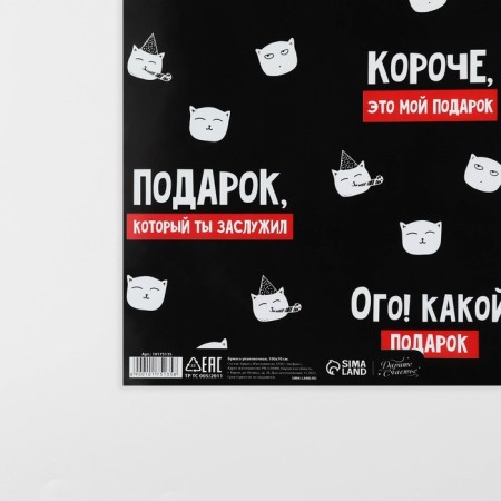 Paper packaging glossy “Gift you deserve”, 70 x 100 cm-3