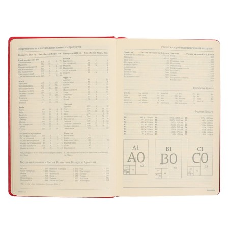 Deliciper of Leduced A5, 160 MEGAPOLIS sheets, hard cover, artificial leather, red-8