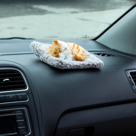 A toy on a car panel, a cat on a pillow, a white-red color-3
