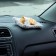A toy on a car panel, a cat on a pillow, a white-red color