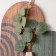 Decorative wood hooks "Abstraction. Flower in a vase" 1.5x19.2x23.3 cm