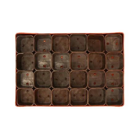 Set for seedlings: glasses of 70 ml (24 pcs), pan 29.5 × 20 cm, mix-9