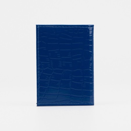 Busman for 18 cards, blue color-1