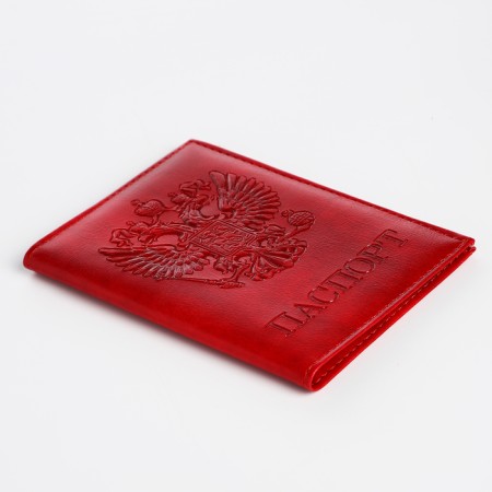 Cover for passport, red color-3