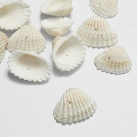 Beads "shell", 3 × 2 cm, half, set 100g, white color-1