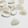 Beads "shell", 3 × 2 cm, half, set 100g, white color