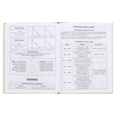Diary Solid Cover 1-11 grade 48 sheets, "Compass", Cardboard 7BC cover, matte lamination, selective UV-lak, cheat sheet-10