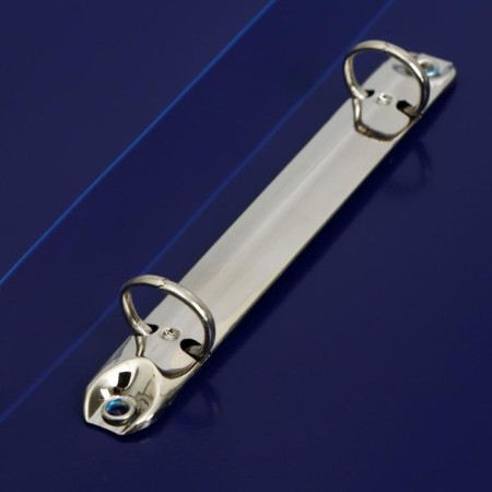 Folder on 2 rings A4, calligrata, 18 mm, 500 μm, 2 cm x 25 cm x 30.5 cm, blueberry-2