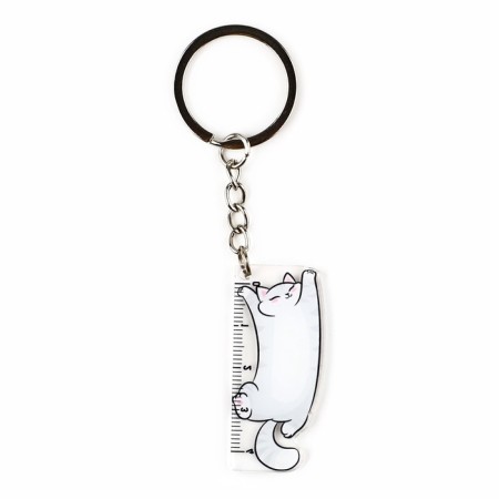 Keychain ruler for keys “be always sure”, 2.2 x 10 cm-2