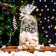 Package Packy BOPP, "Assorted" 15*30 cm
