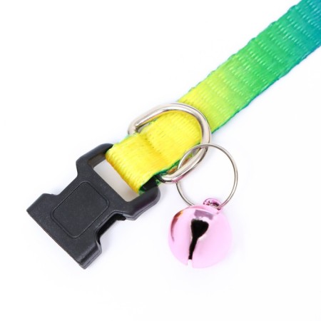 Collar "Rainbow", 30 x 1 cm, kapron-5