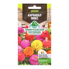 Cinnia flower seeds 