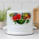 Cylindrical pan, 10 l, enameled cover, induction, sample mix