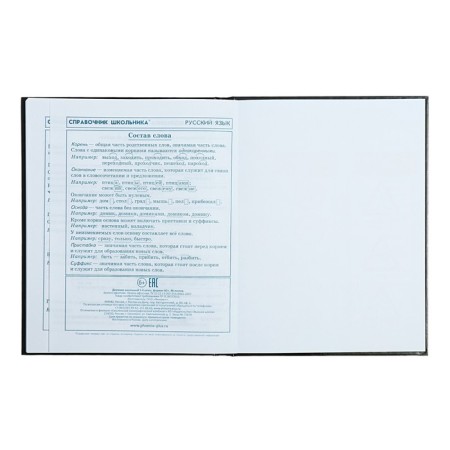 School diary for grade 1-4, 48 sheets "Racing", hard cover, glossy lamination, universal cheat sheet, block 65 g/m2-13