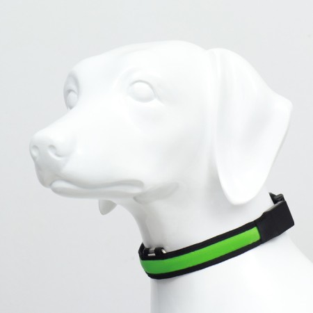 Collar with backlight Flash 3 glow modes size L, Osh 45-52 x 2.5 cm Green-2