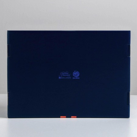 Folding box "Heat", 30.7 x 22 x 9.5 cm, New Year-2