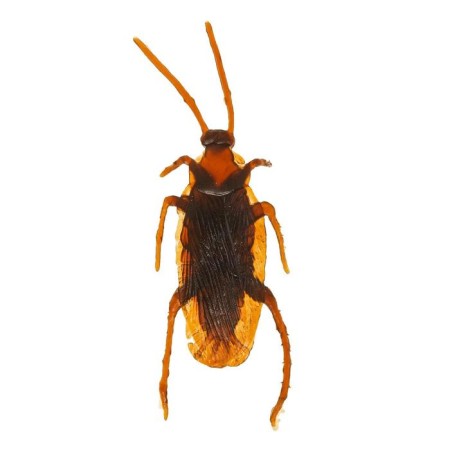 Fun "cockroach", set of 12 pcs.
