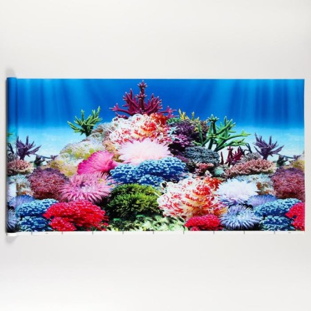 Background for aquarium, 50 cm, roll 25 m