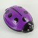 Roller brush for carpet coating, 2 videos, color mix