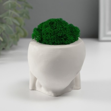 Kashpo Concrete "Seek Skull" with moss 7x10 cm white (moss green stabilized)-3