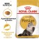 Dry food RC Persian for Persian cats, 2 kg