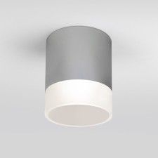 Ceiling lamp (SPOT) Elektrostandard, Light LED 15 W, 108x108x148 mm, IP54, Gray color
