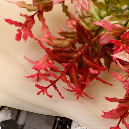 Bouquet "Hygrofila" 23 cm, mix-1