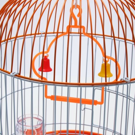Birds Cell-Kound equipped BD-4/2, 23.5 x 33 cm, orange-3