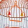 Birds Cell-Kound equipped BD-4/2, 23.5 x 33 cm, orange