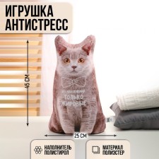 Antistress toy 