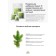 Purshat-M Water-soluble agent for coniferous and decorative, 500g