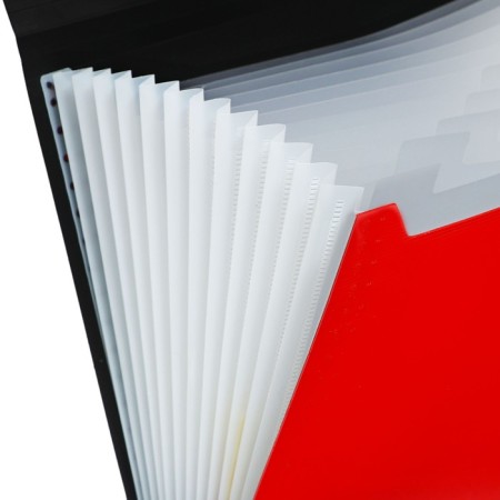 Folder file Calligrata Top Deluxe 13 Department. A4 plastic 1.0mm is red. Cut in color-4