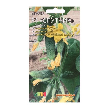 Cucumber seeds "Sputnik F1", 8 pcs