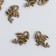 Decor for creativity Metal "Dragon" Bronze set 12 pcs 2.1x1.5 cm