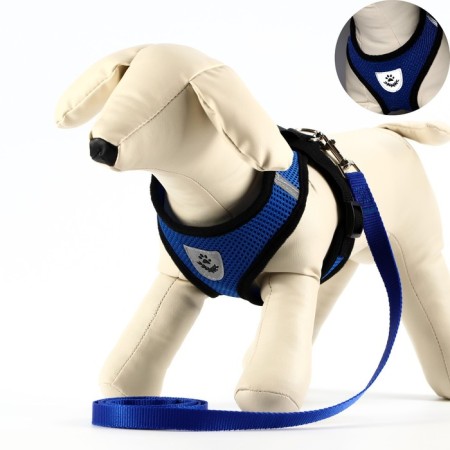 A set of ammunition with a soft harness and a reflective patch, m, Osh 26 cm, OG 36-44 cm, blue 76143